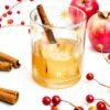 apple cranberry old fashioned