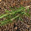 Mulling spice with rosemary