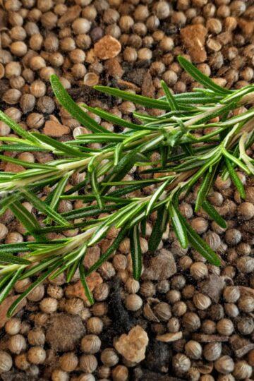 Mulling spice with rosemary