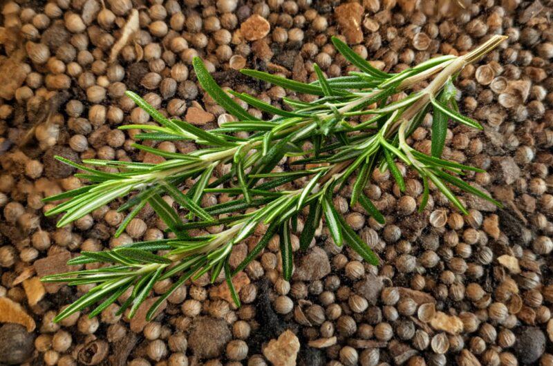 Mulling Spice and Rosemary Simple Syrup